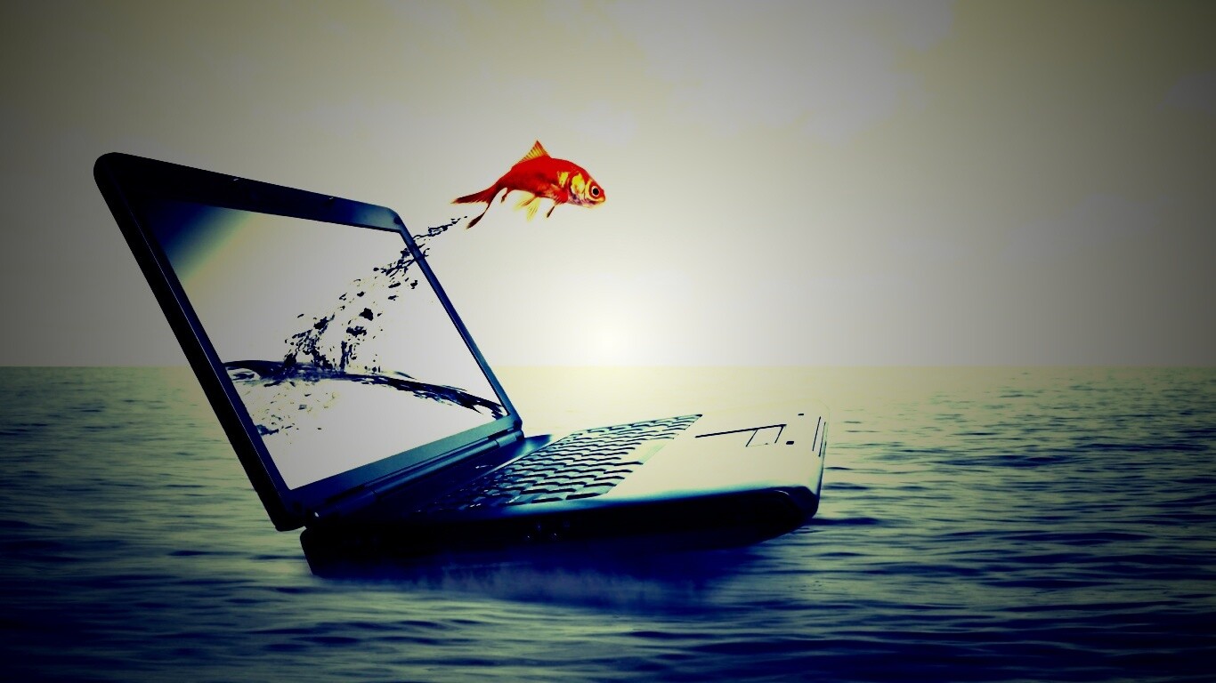 Золотая рыбка обои