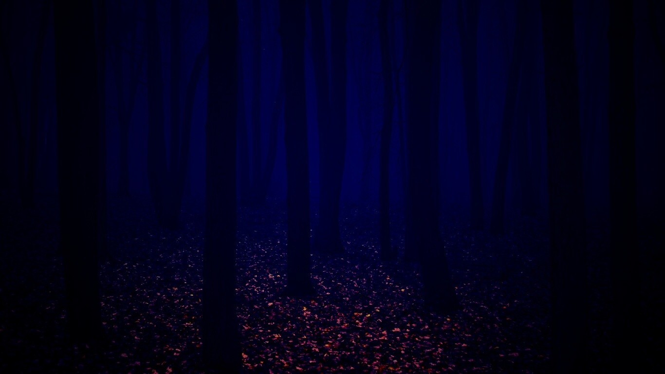 Таинственный лес обои