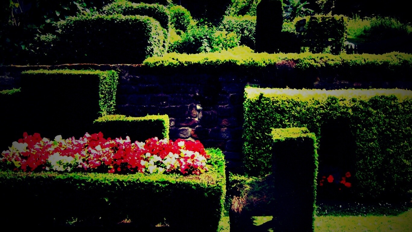 Декоративный сад обои