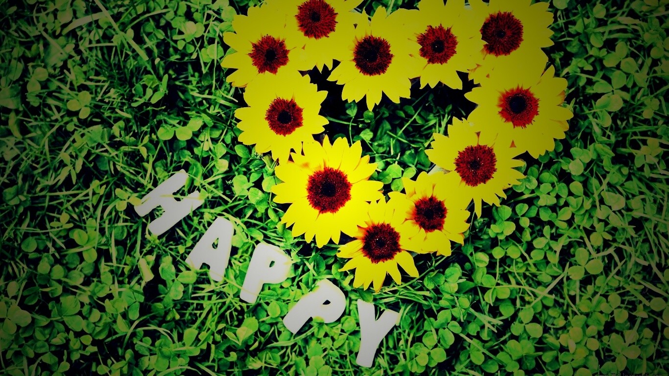 Радость обои