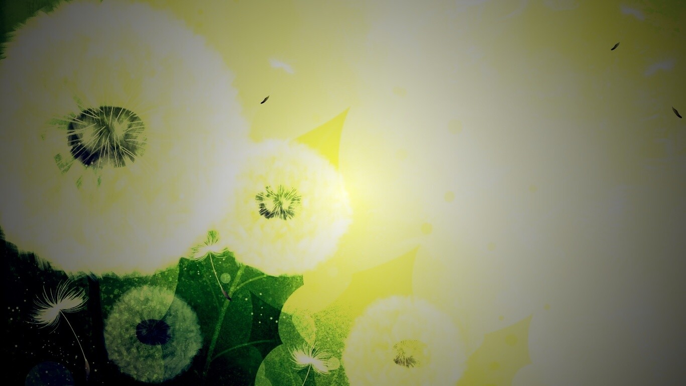 Одуванчики обои