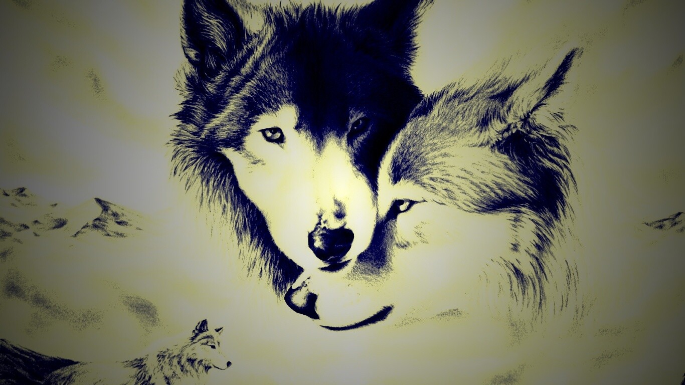 Волки обои