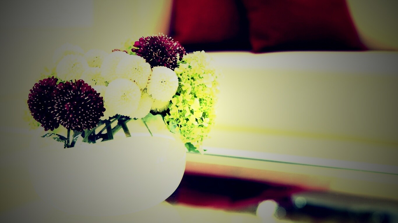 Цветы в белой вазе обои