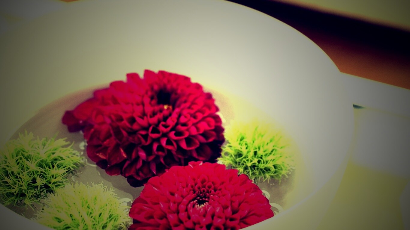 Чаша с цветами обои