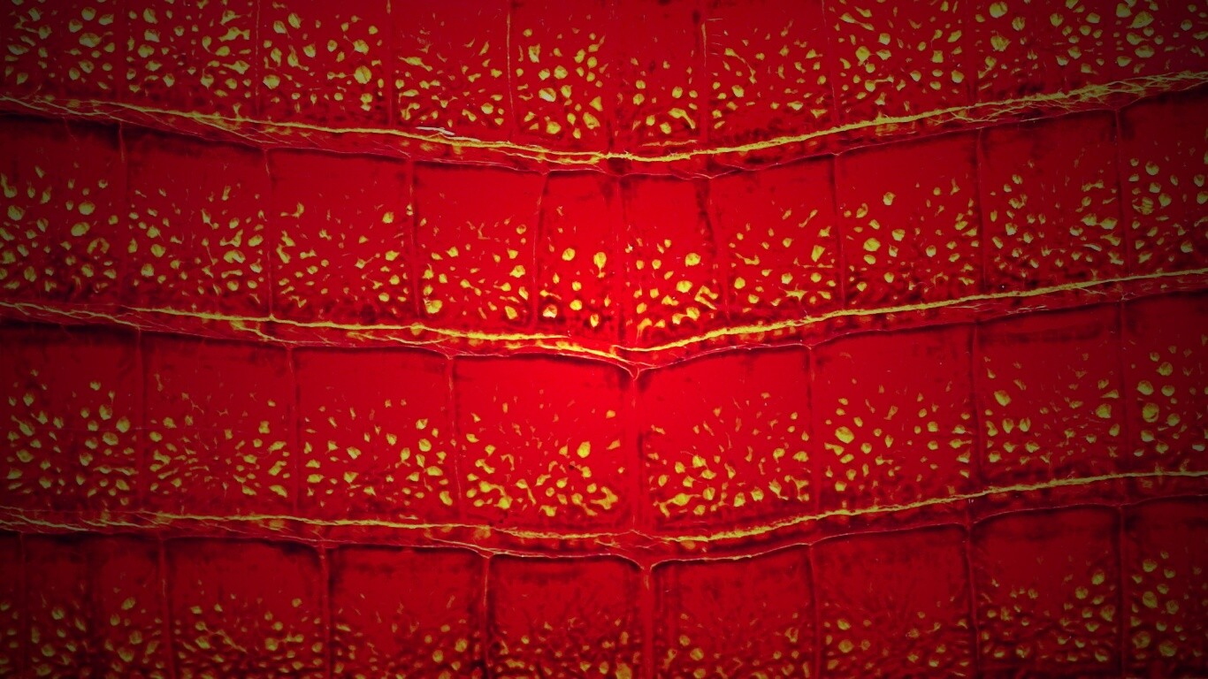 Текстура крокодильей кожи обои