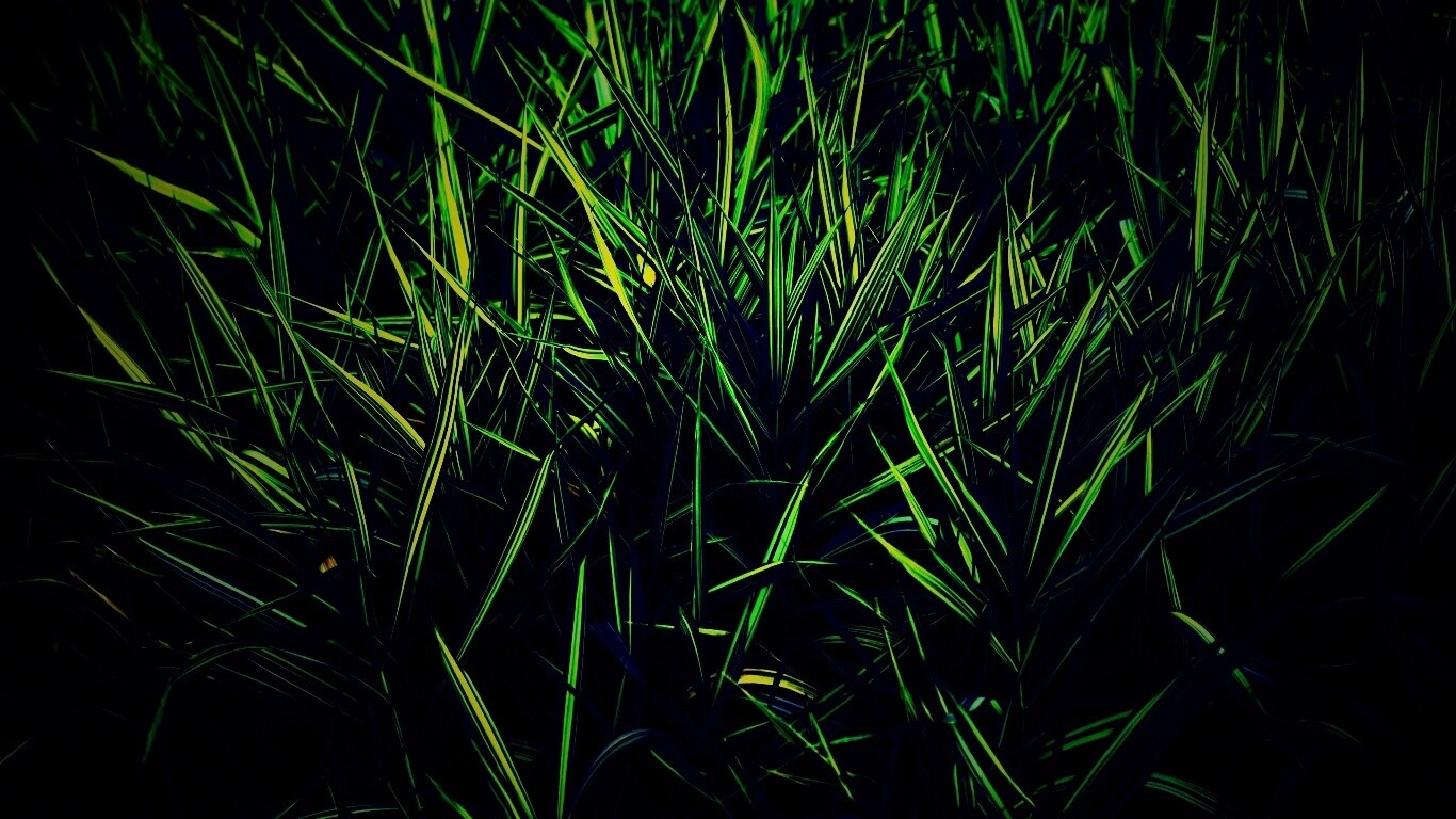 Дикая трава обои