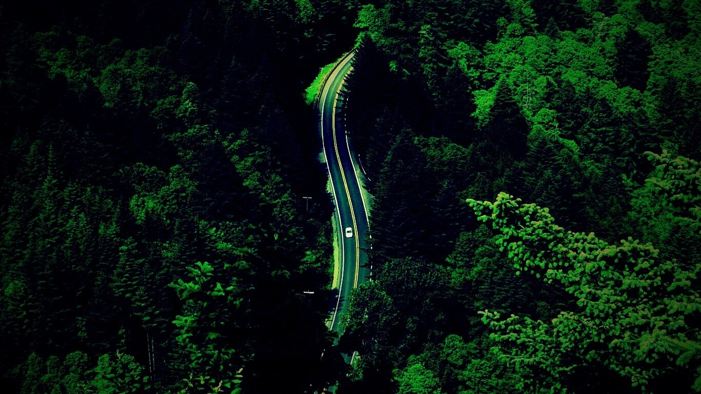 Лесная трасса обои