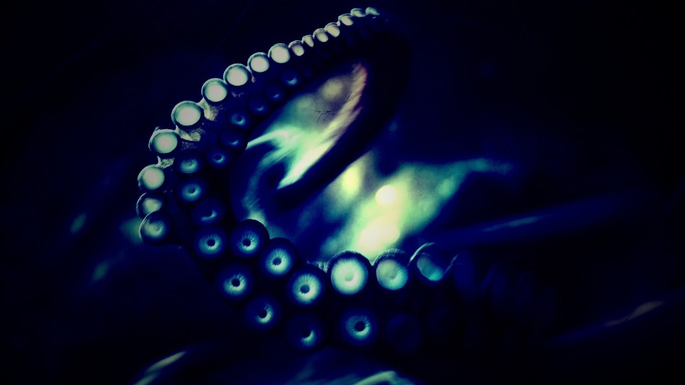 Щупальце обои