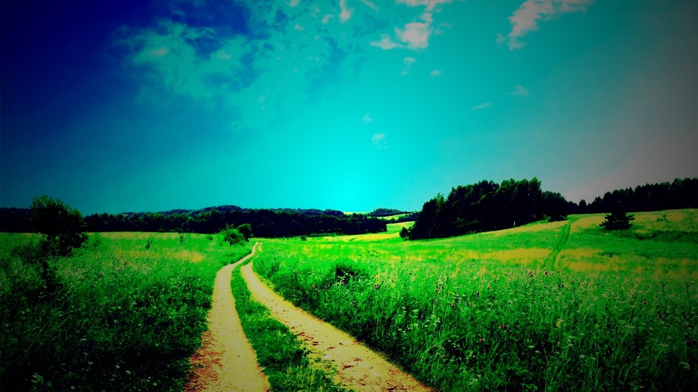 Дорога через луг обои