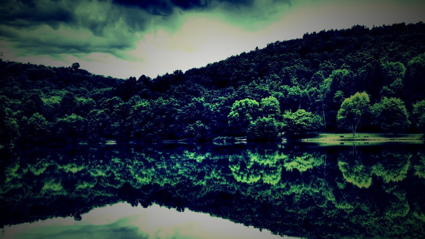 Лесной берег обои