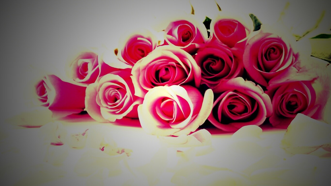 Букет роз обои