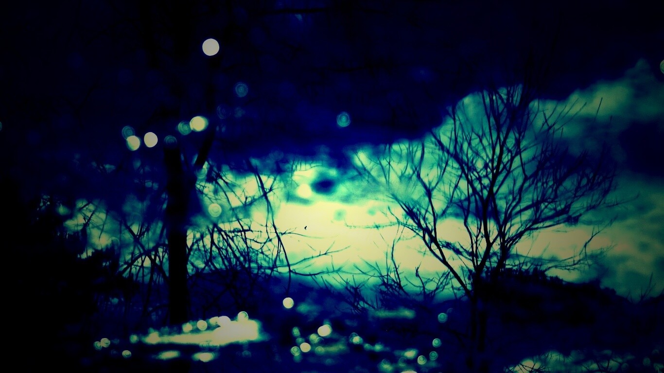 Голые деревья обои