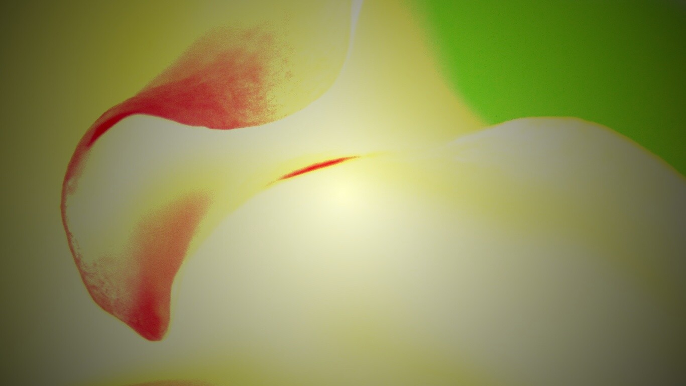 Оттенки природы обои