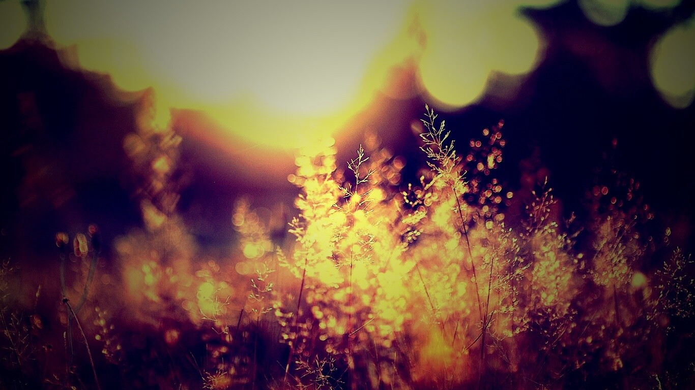 Посмотри на этот мир обои