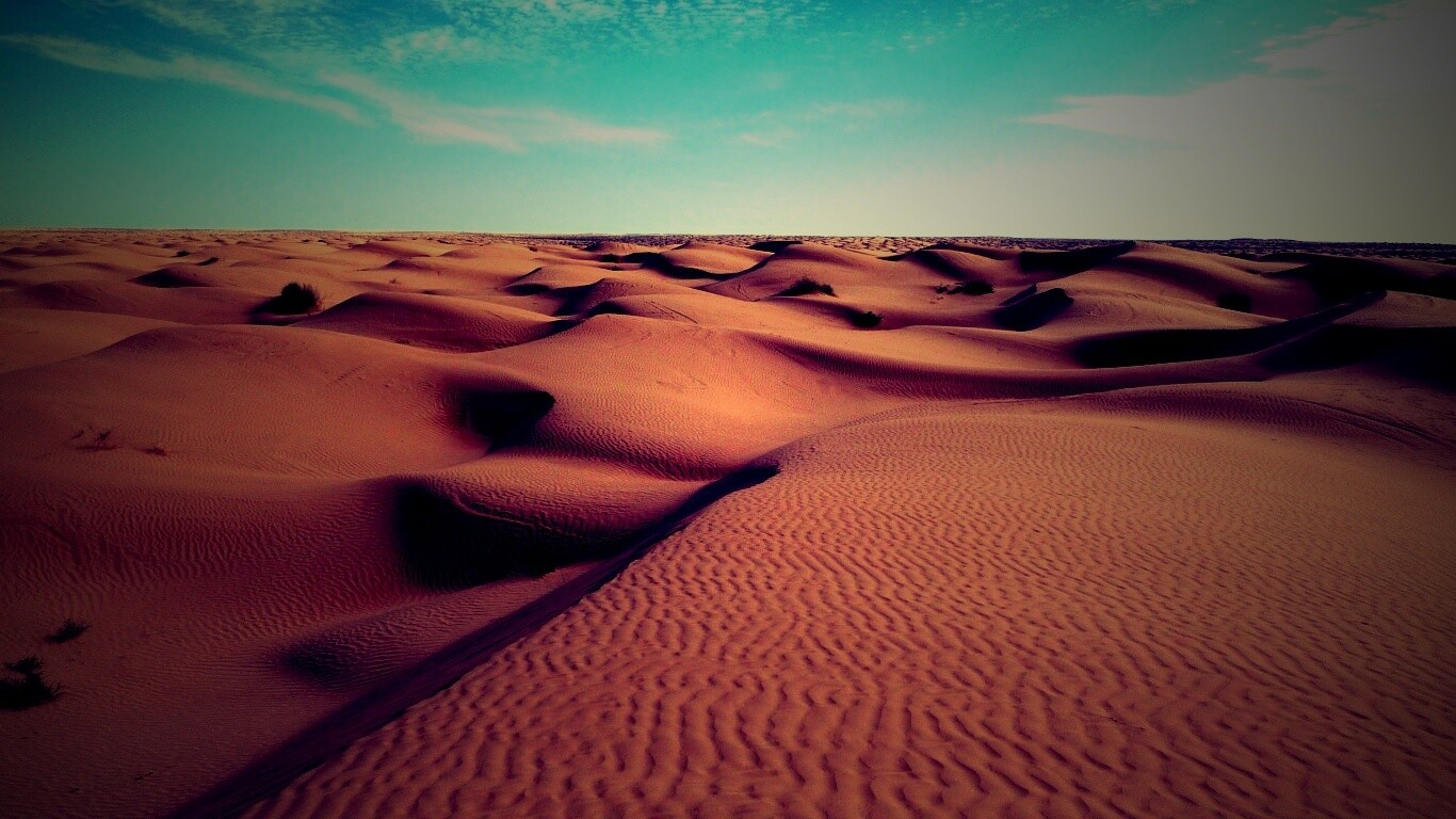 Пустыня до самого горизонта обои