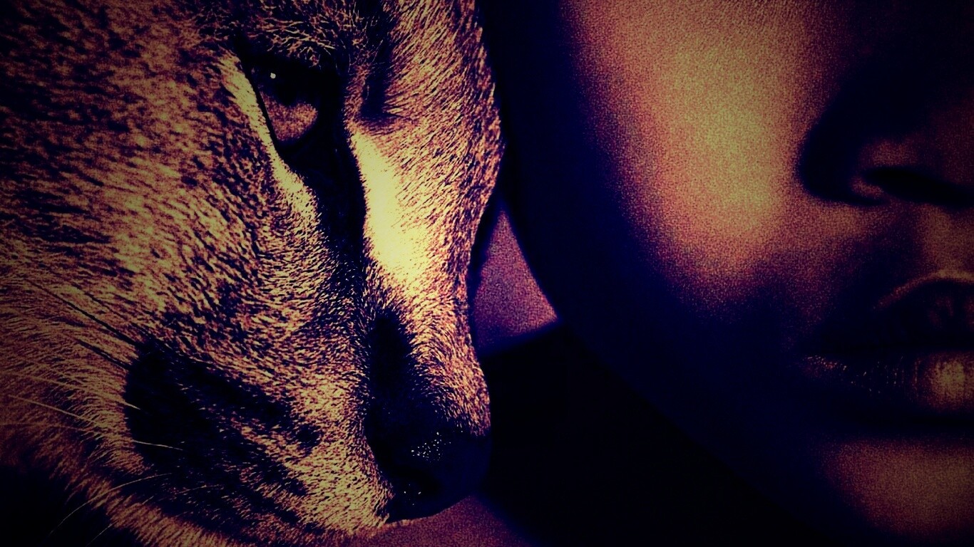 Человек и природа обои