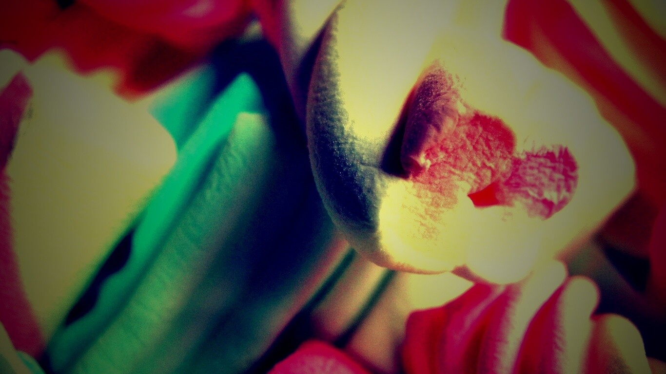 Кручёный зефир обои