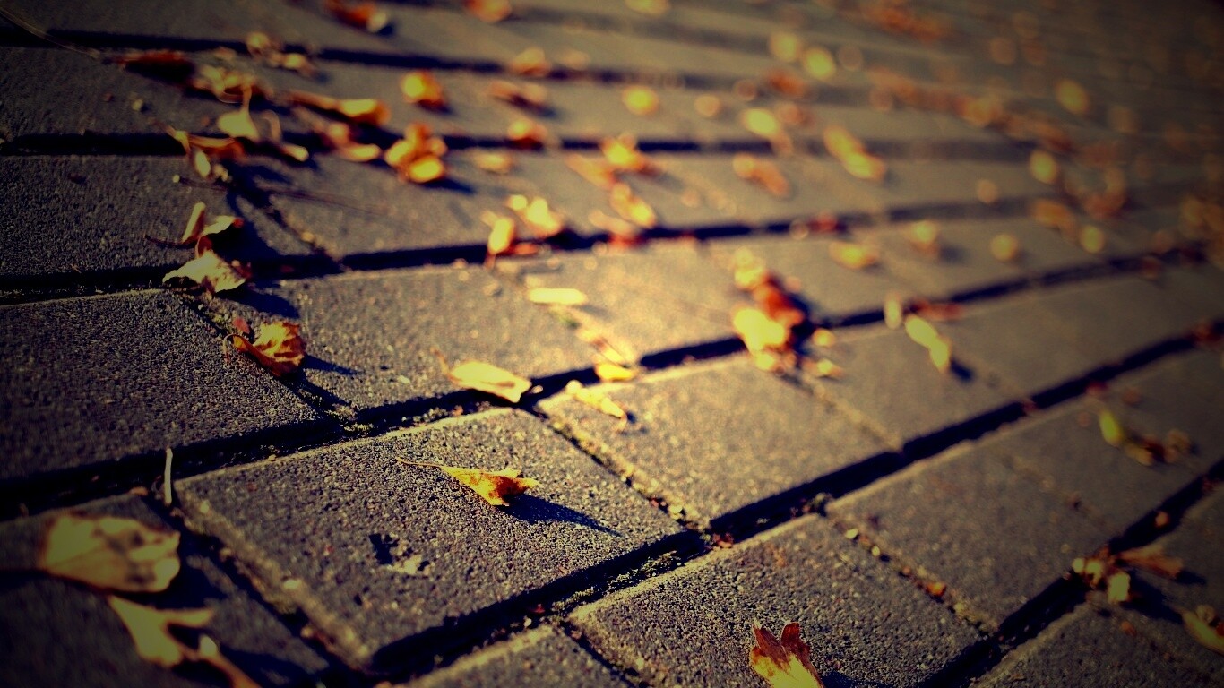 Тротуар обои