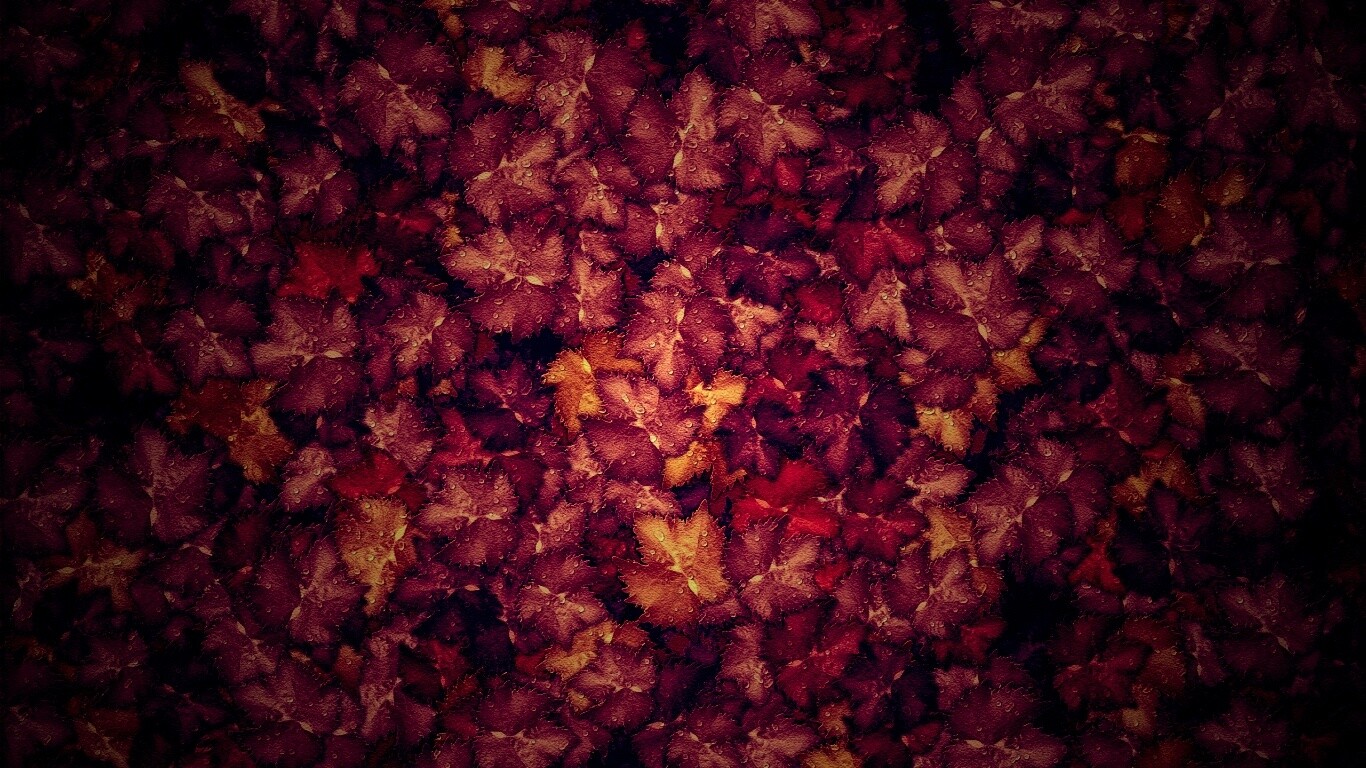 Осенние листья обои