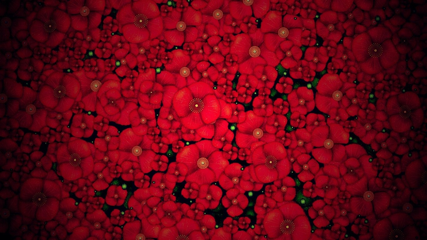 Рисунко с красными цветами обои