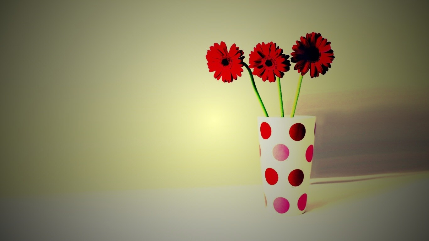 Вазочка с тремя красными герберами обои