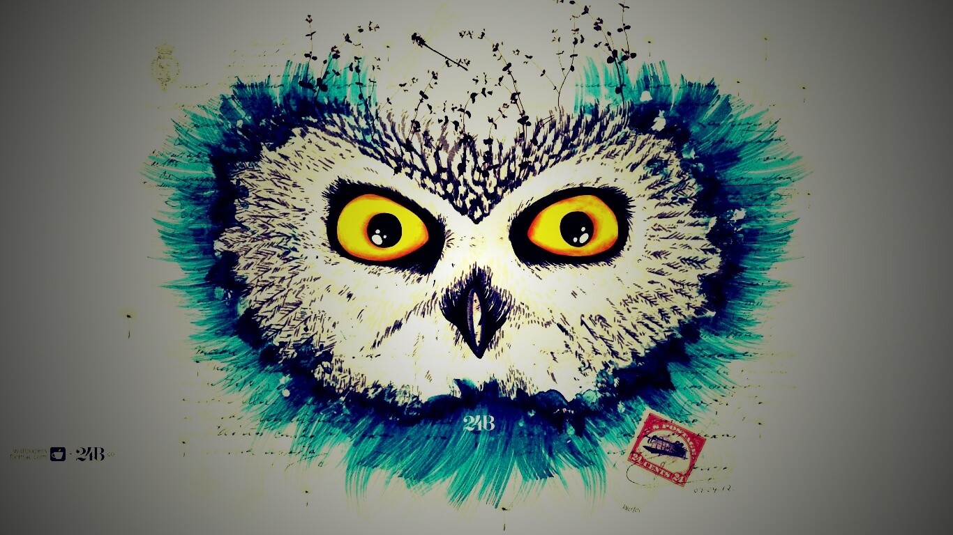 Обои сова для mac book обои