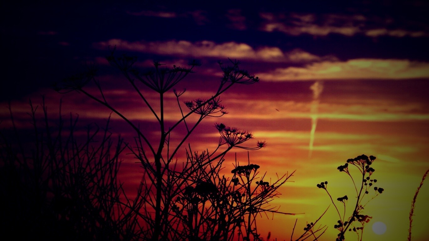 Степной закат обои