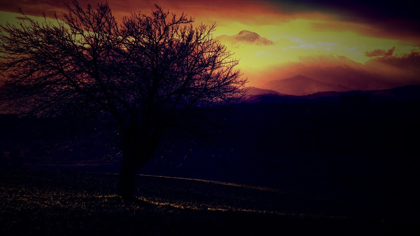 Дерево и горы обои