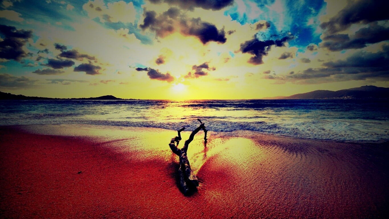 Коряга на пляже обои