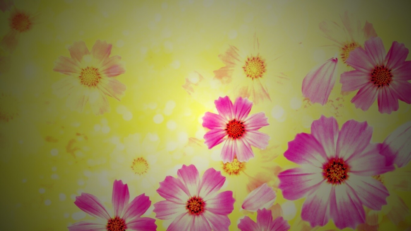 Цветочки обои