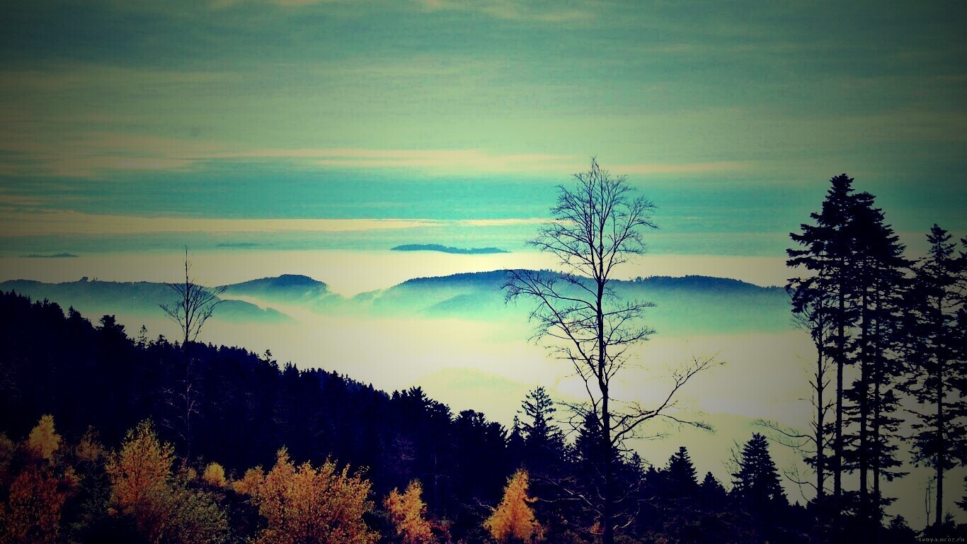 Холмы в тумане обои