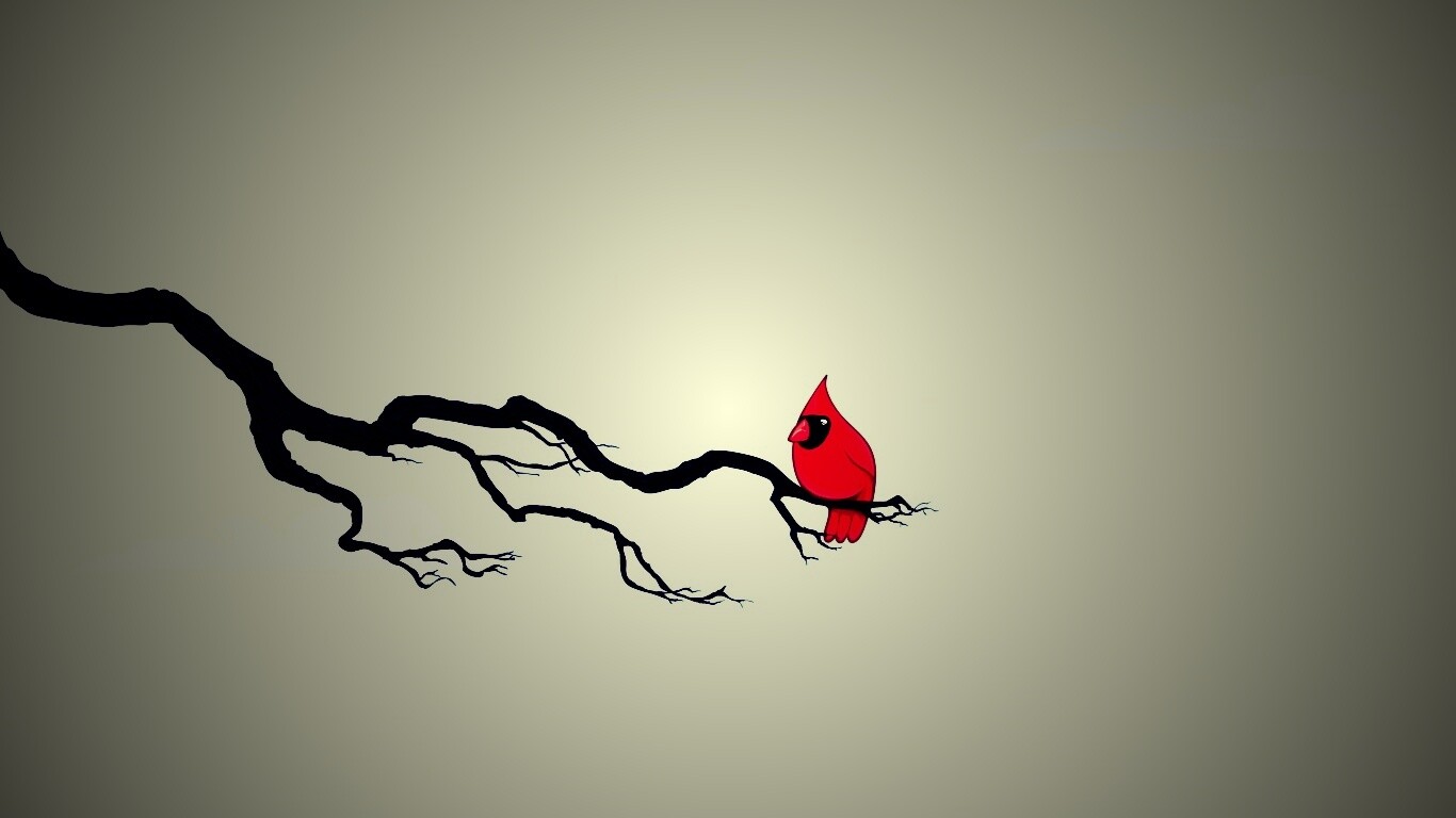 Красная птица на ветке обои