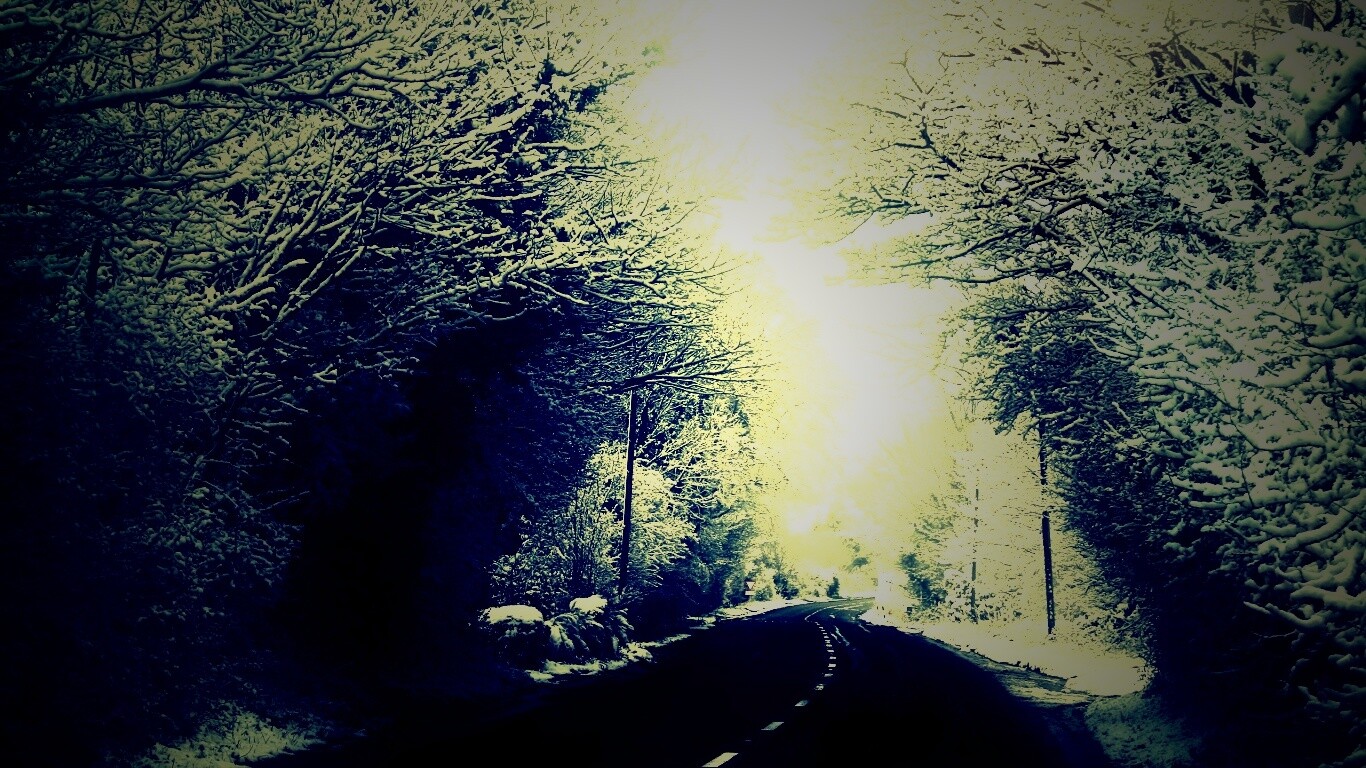 Дорога через зимний лес обои