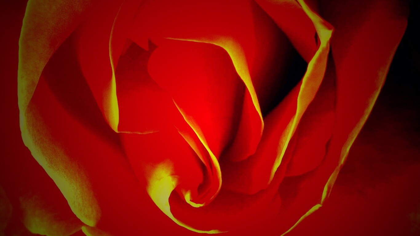 Макро фотка бутона обои