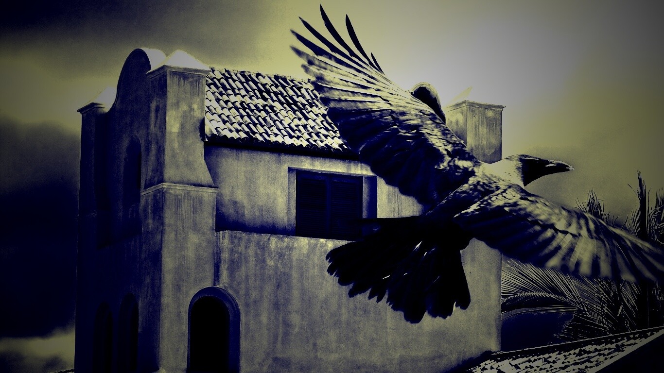 Полёт ворона обои