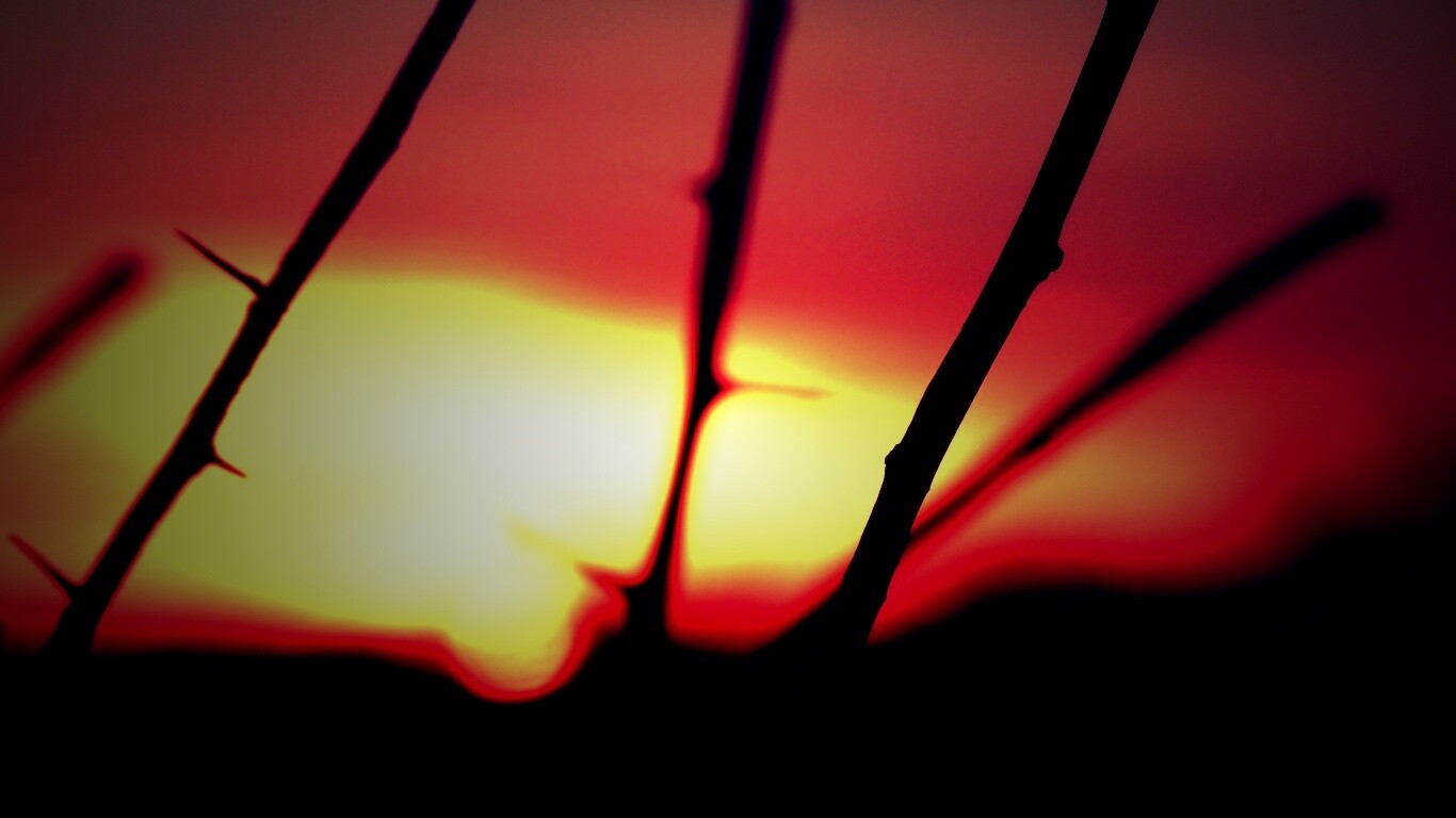 Закат солнца в поле обои