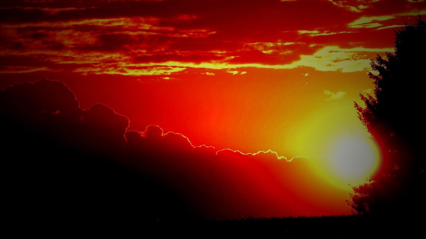 Теплый закат над полем обои