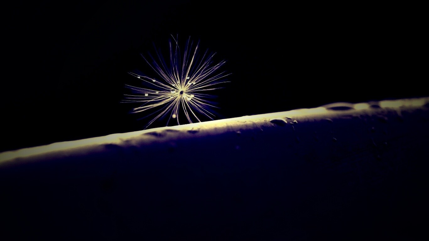 Прилипшая пушинка обои