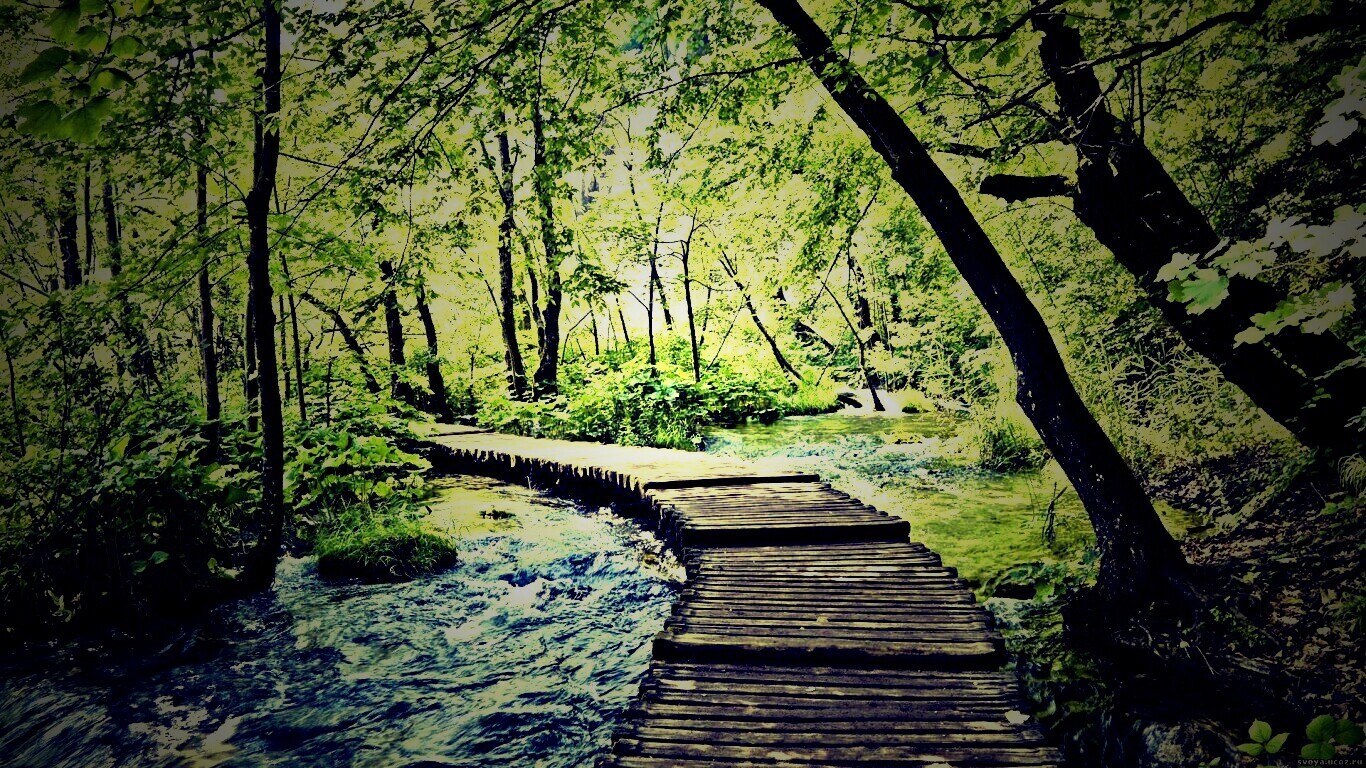 Тропинка над водой обои