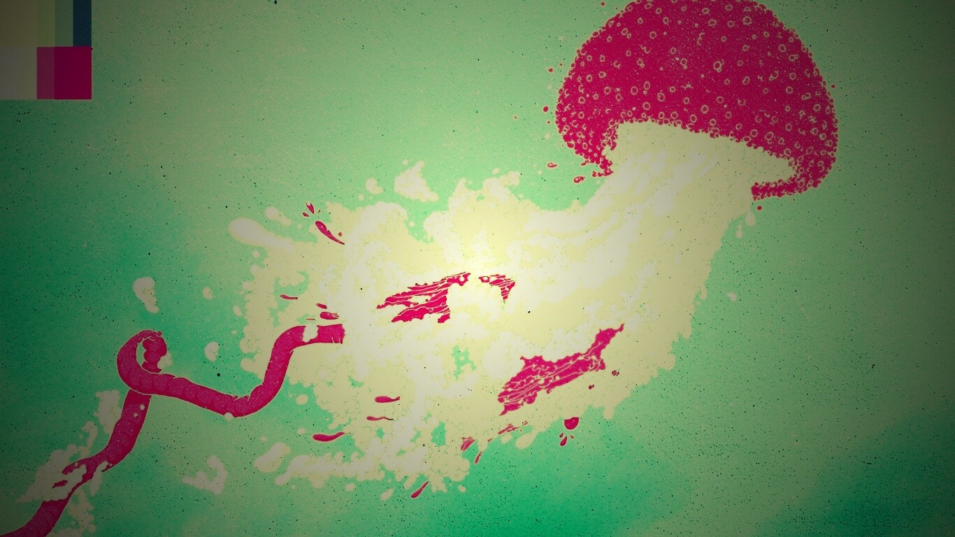 Розовая медуза обои