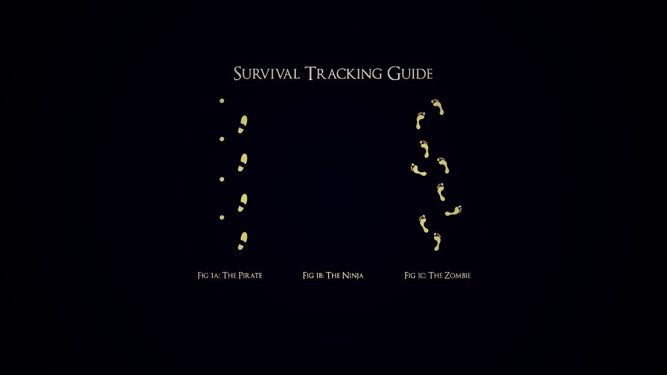 Следы: Пират, Ниндзя, Зомби обои