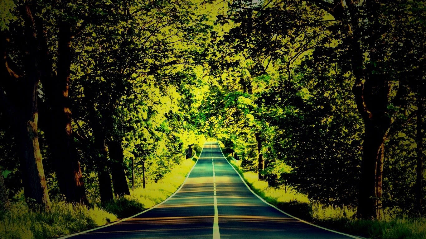 Под горку и в лес обои