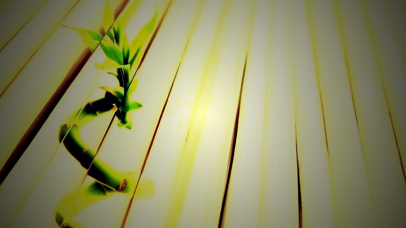 Белый росток обои