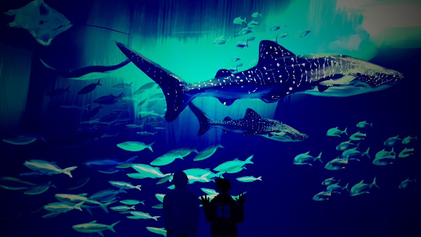 Двое в океанариуме обои