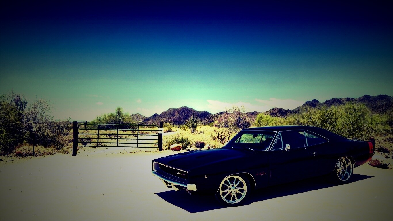 Мускулкар под палящим солнцем обои