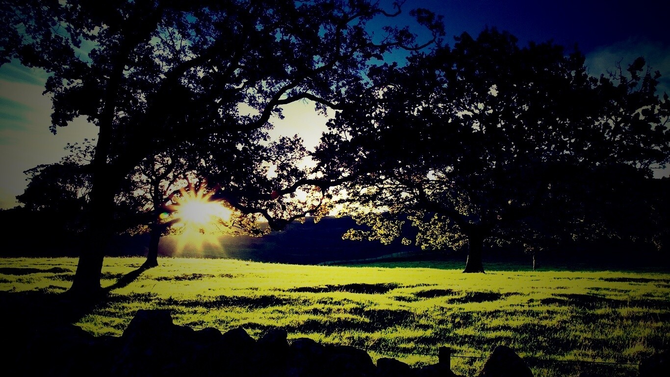 Новозеландский луг обои