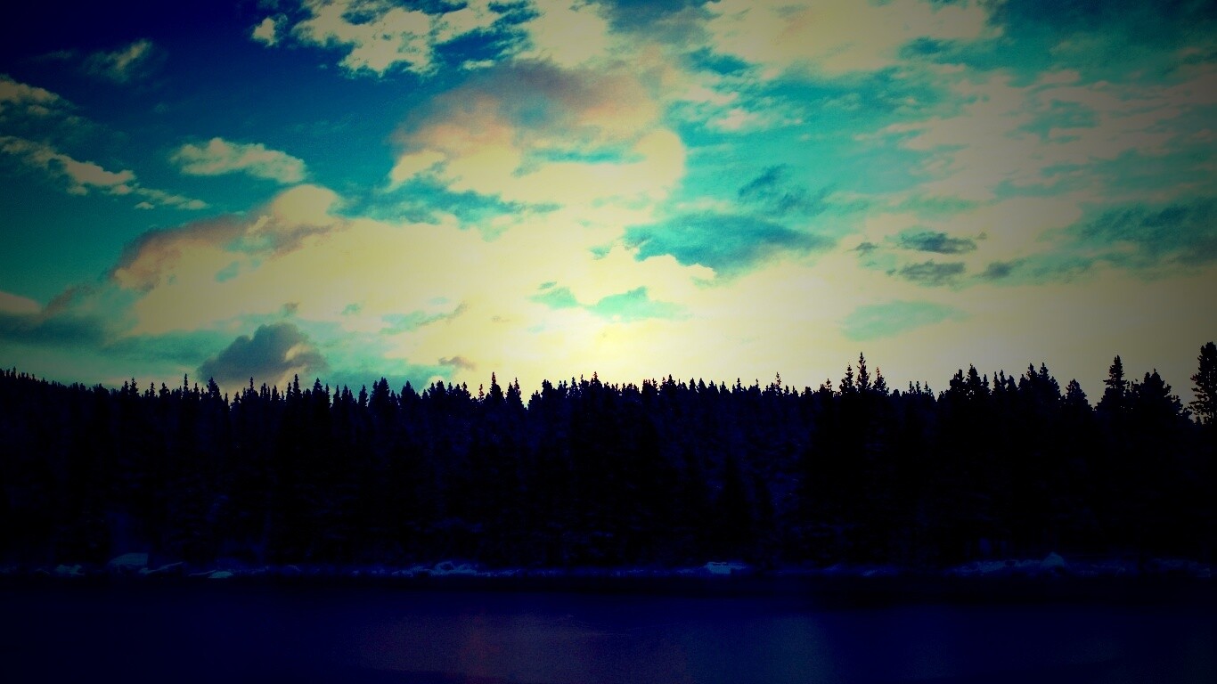 Лес на озере обои