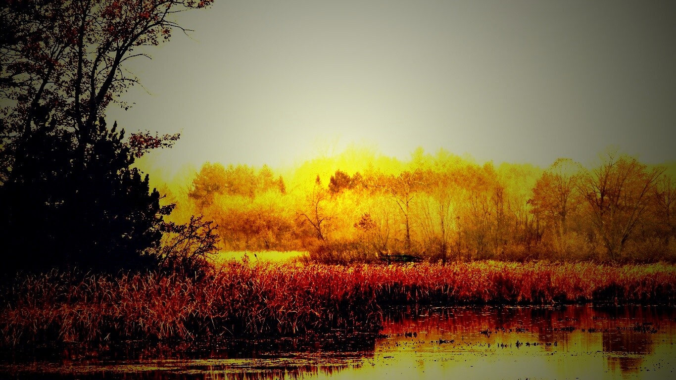 Живописные болота обои