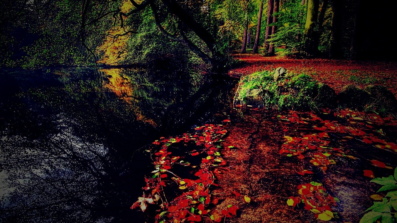 Пейзаж обои