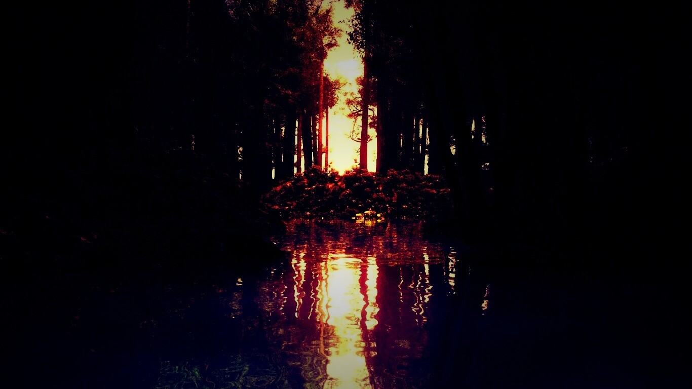 Болото в лесу обои